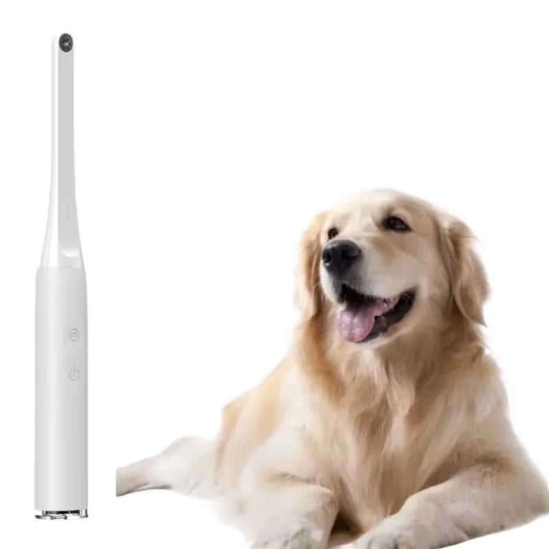 Câmera Intraoral sem Fio